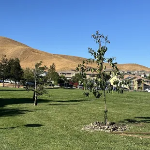 Larry Lasater Park