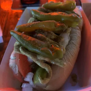 Chicago Dog