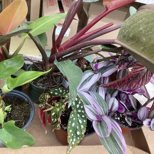 Larry&apos;s haul today