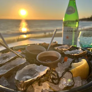 Oysters