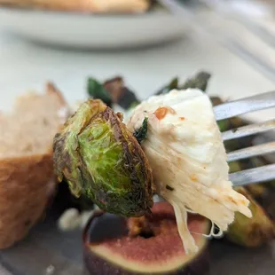 Burrata