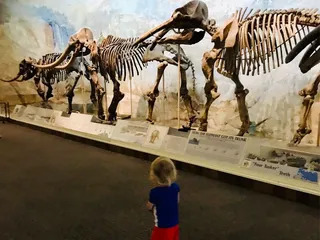 Morrill Hall