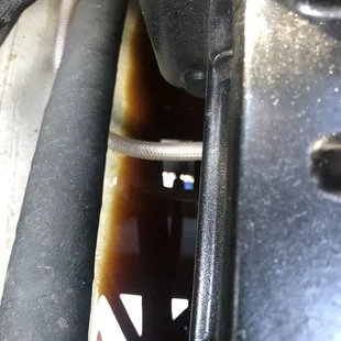 Came for an annual service and found all my oil at the bottom of engine. Oil stick had no oil.