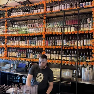 ramen and noodles, interior