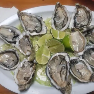Dozen oysters