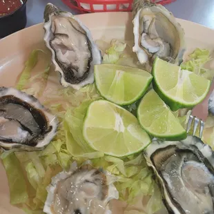 1/2 dozen oysters