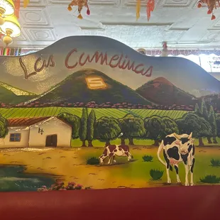 Love the artwork on the seat backs