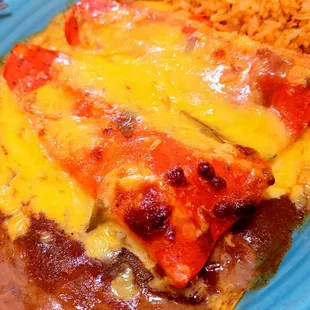 Chicken Enchiladas