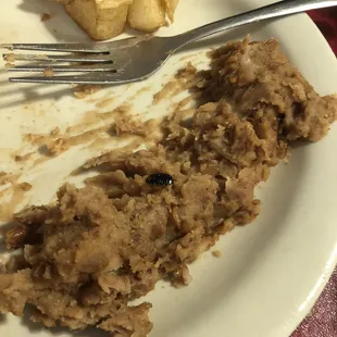 Inspect your food before you start eating there. I found a roach in my beans.