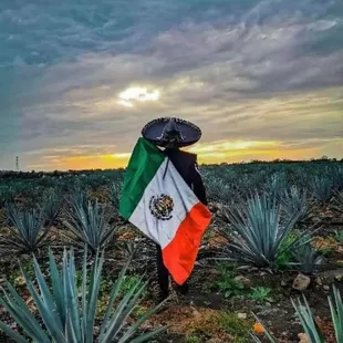 Happy Mexican Independence