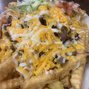 16. Carne Asada Fries
