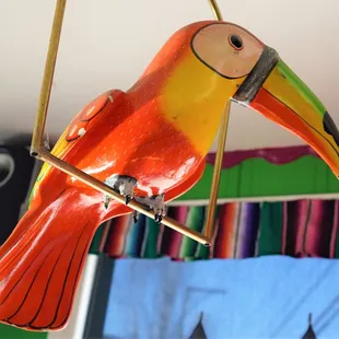 a brightly colored bird on a stick
