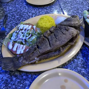 grilled fish, food, grilled seafood, seafood, fish
