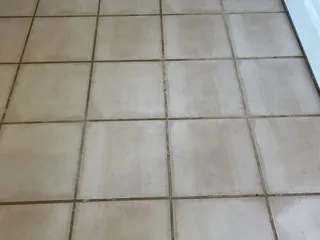 Cleaning Pros
