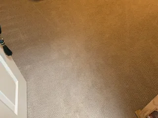 Carpet Care Plus