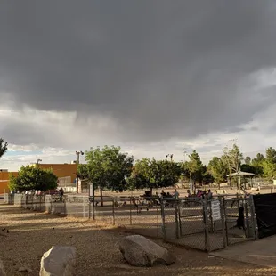 Dark cloud over dog park.