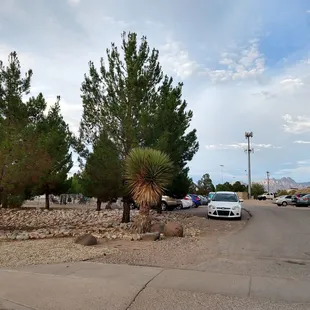 Dog park on the left. Parking lot on the right. Organ Mountains in the background.