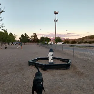 Fake hydrant for peeing dogs.