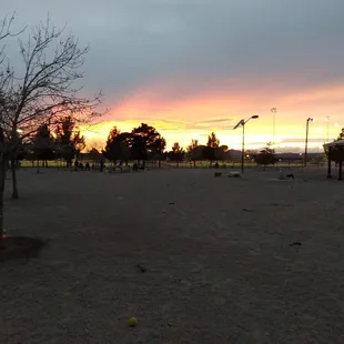 Sunset view in the dog park.