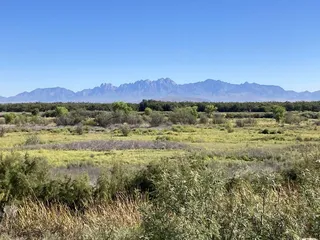 Mesilla Valley Bosque State Park