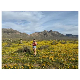 Baylor Canyon Trail poppy fields