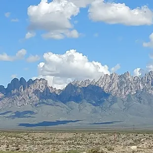 Organ Mountains