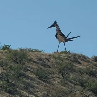 Rest Area &amp; Overlook is up here  11-20-2022
