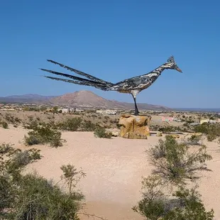 Recycled Roadrunner  11-20-2022