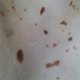 First clean your comal then place the tortilla... then if u dnt know how to make them thin and soft get out of kitchen!