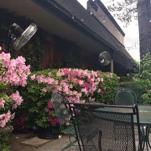 Pretty patio