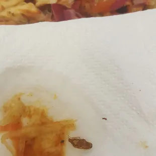 COMPLETELY  DISGUSTED THIS HAPPENED TODAY 10/19/17. Ordered my usual Chicken Taco an Pupuas an Got a ROACH IN MY SLAW!.