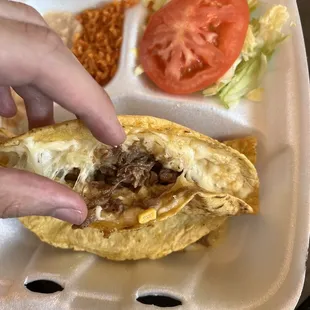 Asada Quesadilla