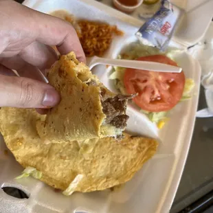 Asada Quesadilla