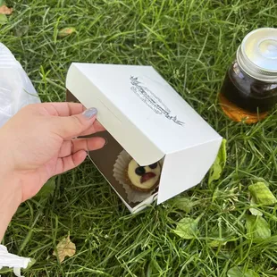 Fruit tarts and drink