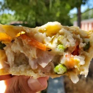 a hand holding a piece of food