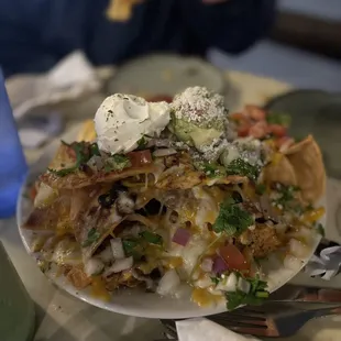 Nachos with grilled chicken.