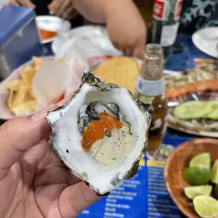 Oysters fresh and delicious!