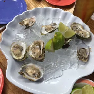 Must try the oysters and causelita made with tequila ! Awesome came all the way from Irving TX just for this sea food.