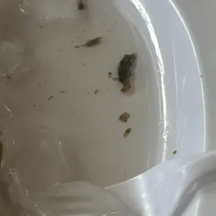 The sludge from the dirty oysters