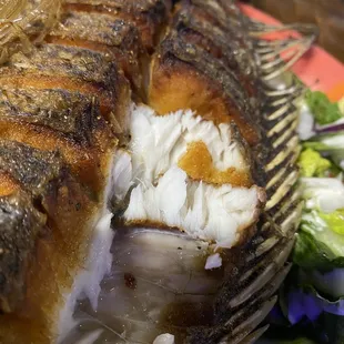Mojara dinner!
