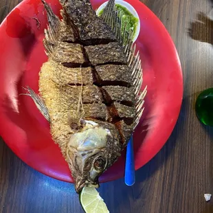 Fried Tilapia Fillet