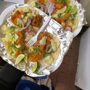 a person holding a plate of food