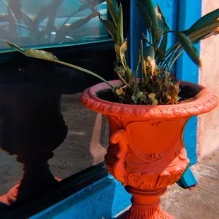 interior, ramen and noodles