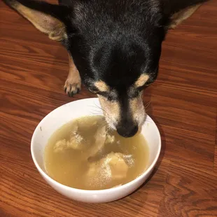 a dog eating from a bowl