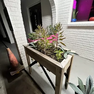 Front door and planters