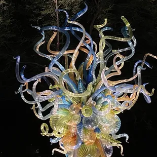 Chihuly in the Desert