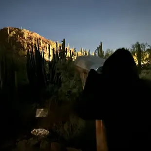 Taking in the sights at night - so beautiful!