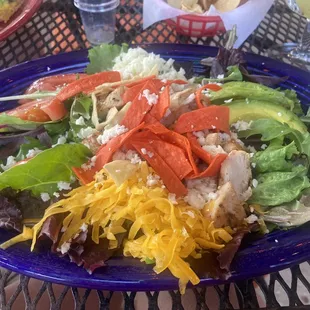 Grilled chicken salad