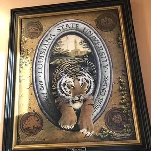 a picture of a tiger in a frame