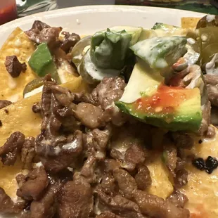 Carne asada nachos